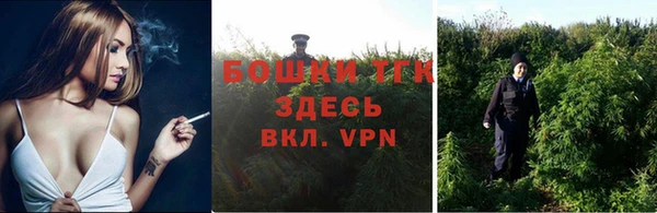 PSILOCYBIN Пестово