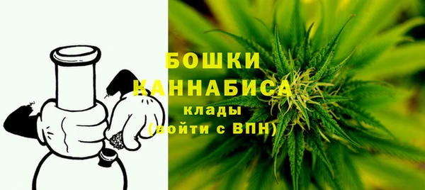 шишки Пересвет