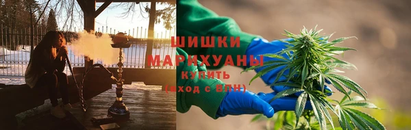 шишки Пересвет