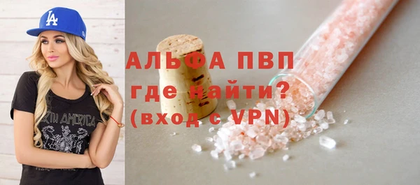 шишки Пересвет