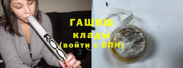 шишки Пересвет