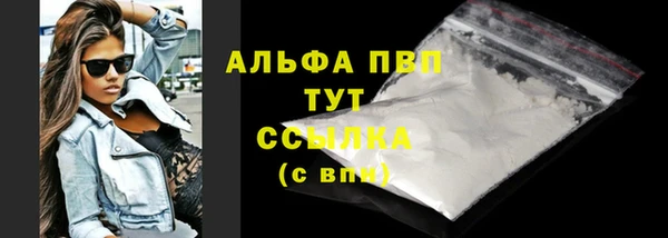 шишки Пересвет