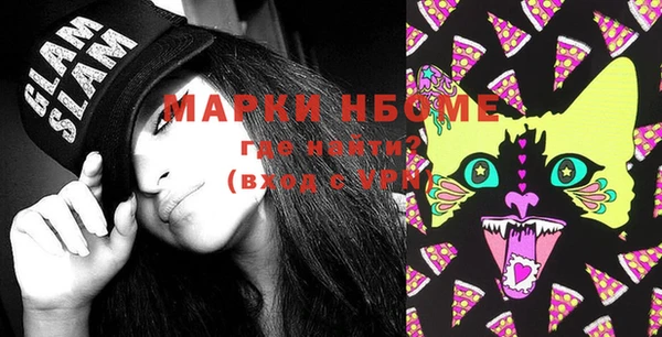 шишки Пересвет