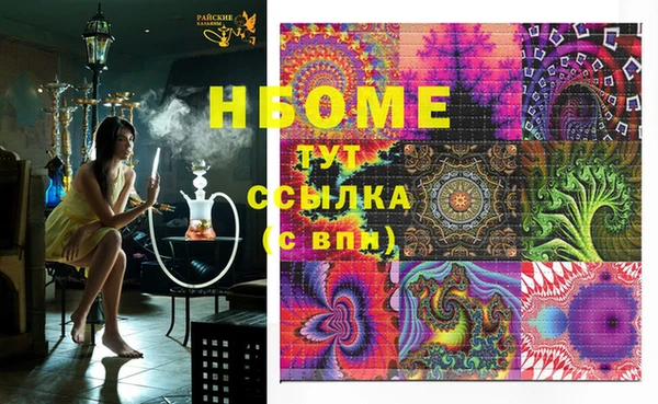 шишки Пересвет