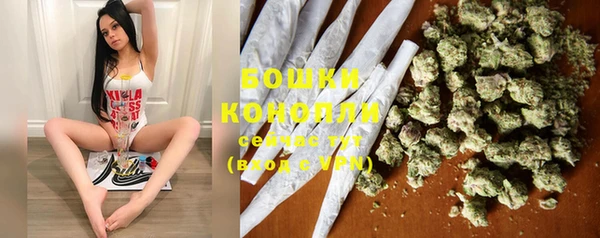 PSILOCYBIN Пестово