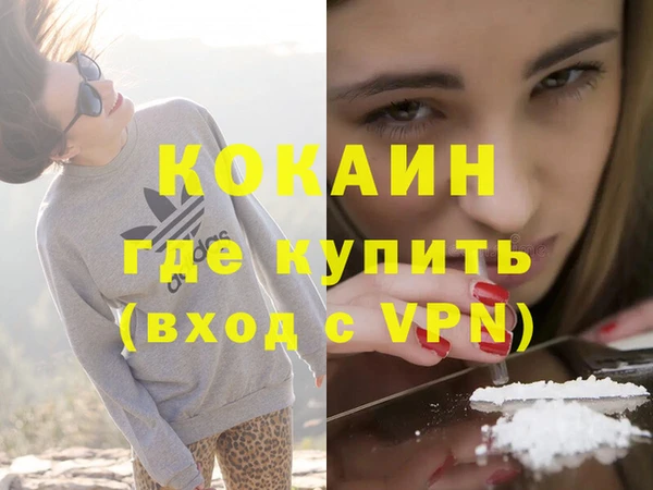 шишки Пересвет