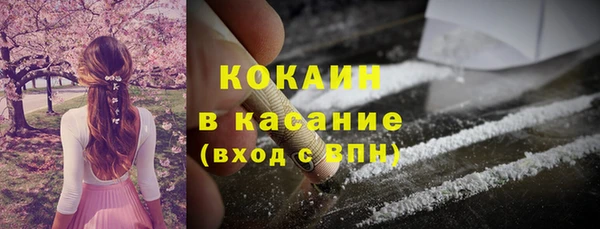 шишки Пересвет