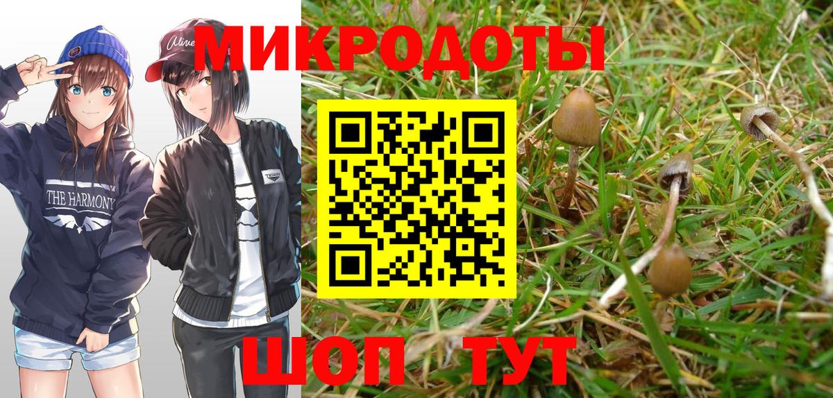 Галлюциногенные грибы Magic Shrooms Унеча