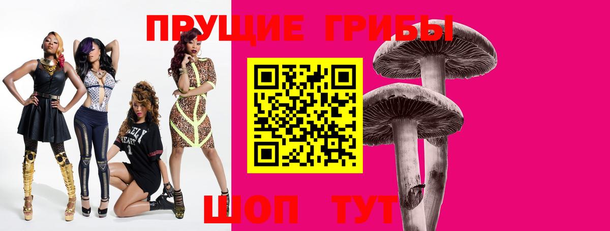 Унеча  Галлюциногенные грибы Cubensis  Вход с VPN 
